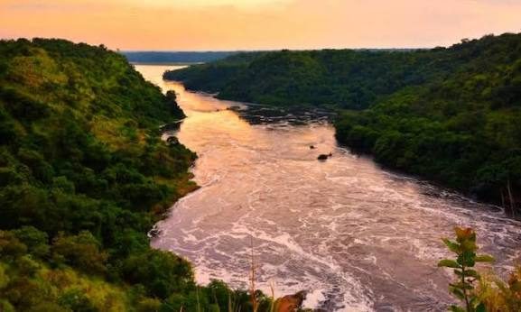 The Nile flowing between forested banks at sunset
